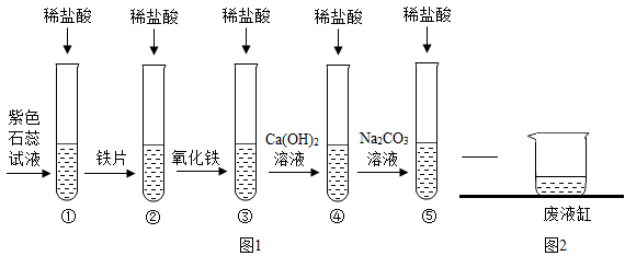 兴趣小组的同学对碳酸氢钠、碳酸钠、氢氧化钠的某些性质进行相关探究。