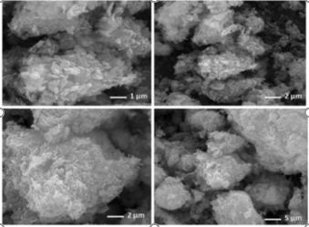 2021年南京农业大学园艺学院的那些高水平研究成果