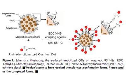 科学网—可同时进行癌症检测与热疗的多功能纳米球