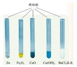 浙江省嘉兴市2020-2021学年九年级上学期科学第一次素质检测试卷